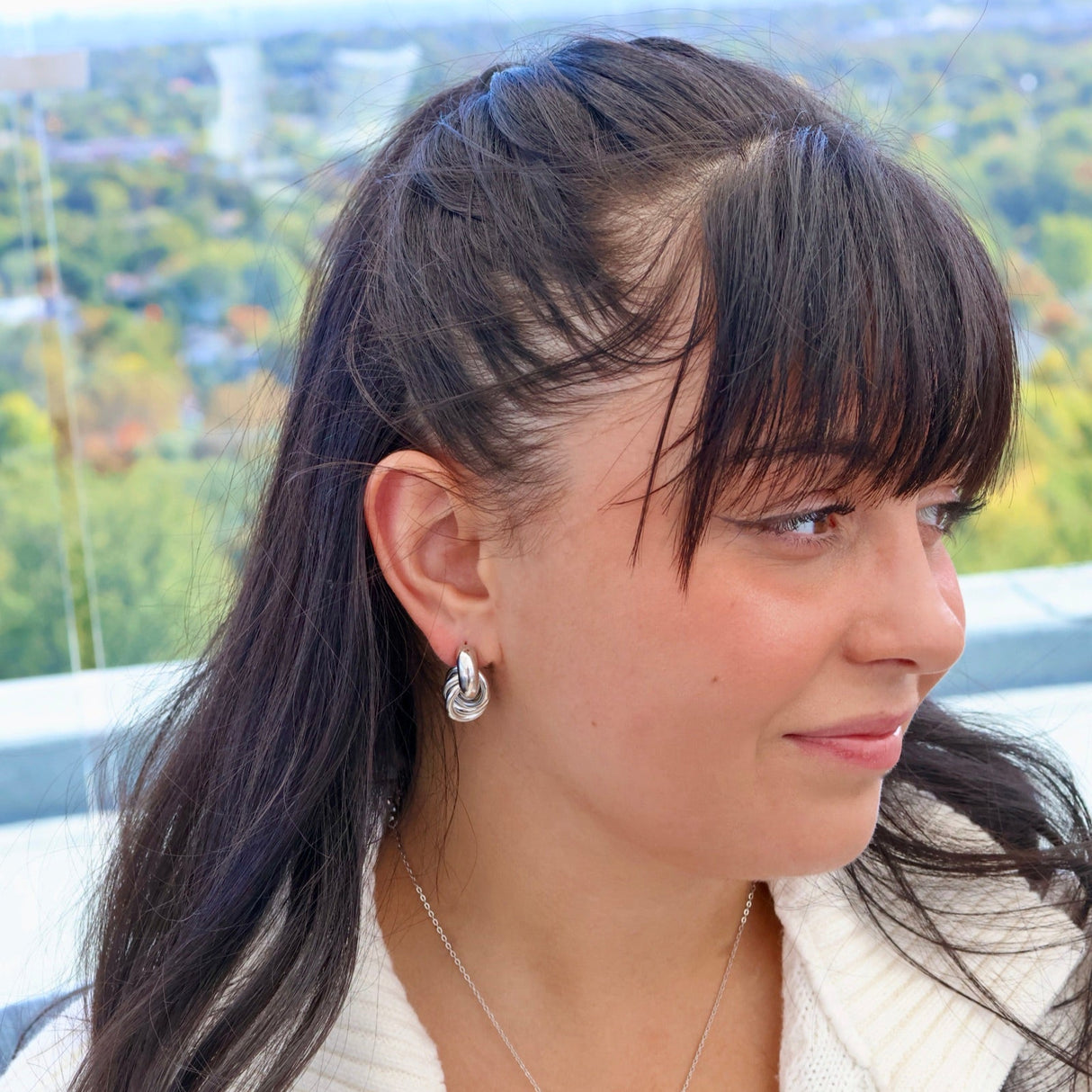 Boucles d’oreilles Prestige argent - Acier inoxydable