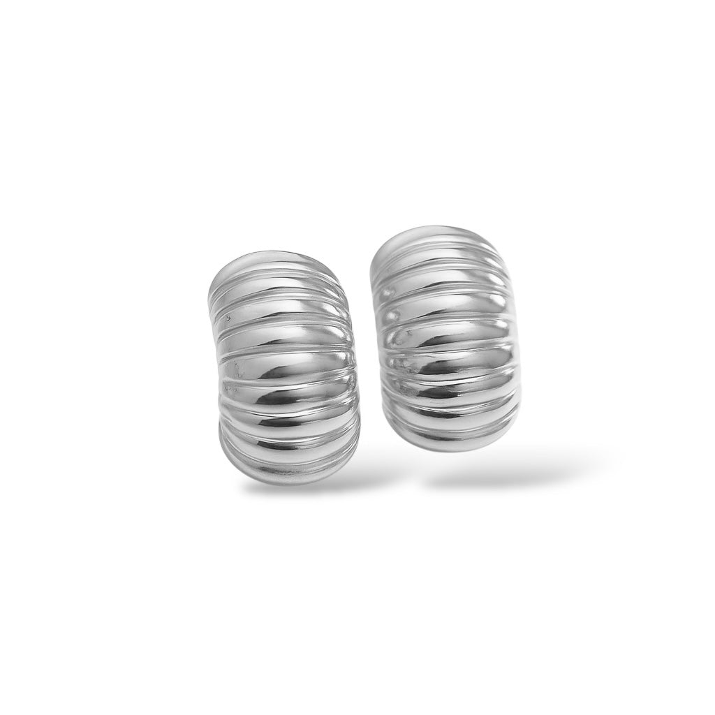 Boucles d’oreilles Sublime argent - Acier inoxydable