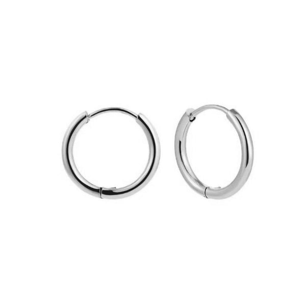 Boucles d'oreilles Dormeuses 12 à 14mm argent - Acier inoxydable